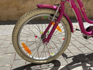 Trek Mystic Bicicleta Infantil Niña 20 Pulgadas