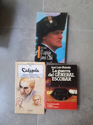 Lote novela histórica