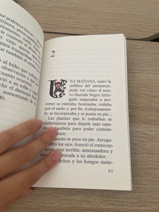 Un duende a rayas/ An elf kent within bounds