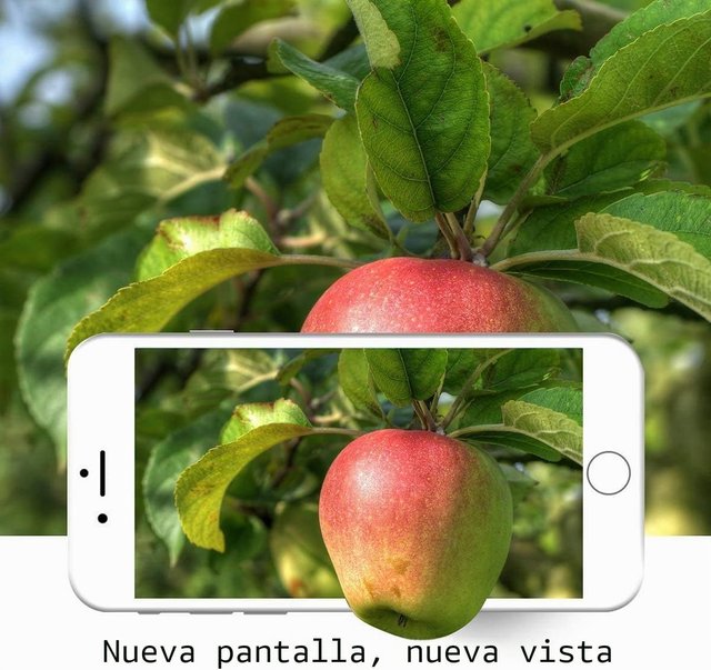 Pantalla LCD para iPhone 6 4.7 Blanca