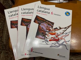 Llengua catalana, 6 Primària Projecte Els Camin...