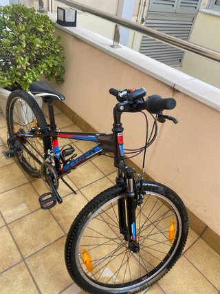 Bicicleta Infantil Trek MT 220
