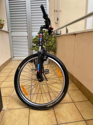 Bicicleta Infantil Trek MT 220