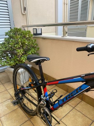 Bicicleta Infantil Trek MT 220