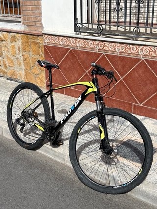 Bicicleta PROWEN 29