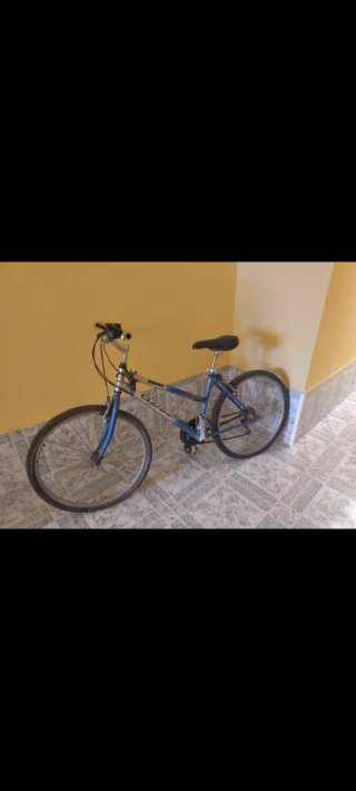 Bicicleta de Montaña Azul y Plateada