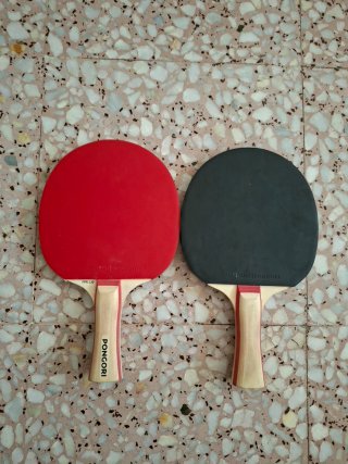 2 Palas Ping Pong Decathlon Pongori