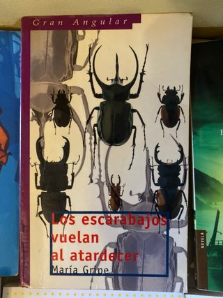 Varios libros lectura juvenil en castellano