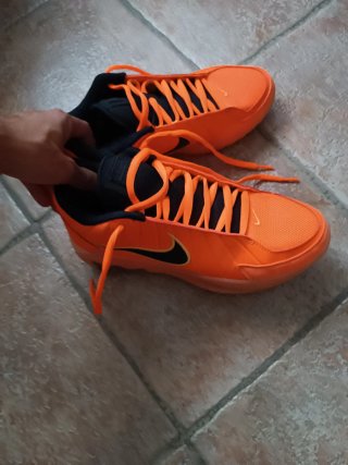 Zapatillas Nike LeBron James