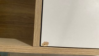 Estantería/Mueble con baldas y armario