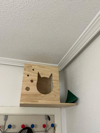 Parque de Pared para Gatos