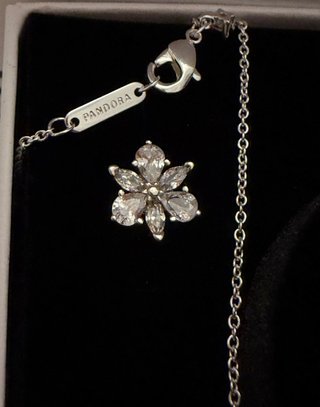 Set de Joyas Pandora