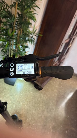 Smartgyro Speedway Pro 1200W · 15Ah · 1.100 km