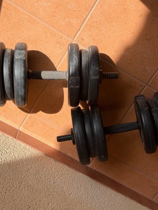 Pesas de musculación ajustables