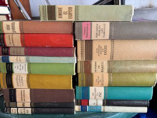 Lote de 17libros clásicos y narrativa del siglo Xx