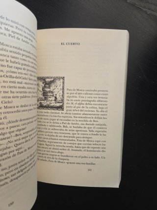 El jinete del dragón