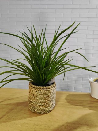 Planta artificial decorativa Maison.Ancho20.Alto40