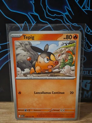 Tepig 029/217 🇪🇦 NM