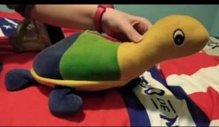 Tortuga de Peluche Multicolor