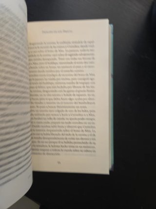 SEBASTIAN DARKE PRINCIPE DE LOS PIRATAS