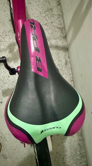 Bicicleta Infantil B-PRO 16
