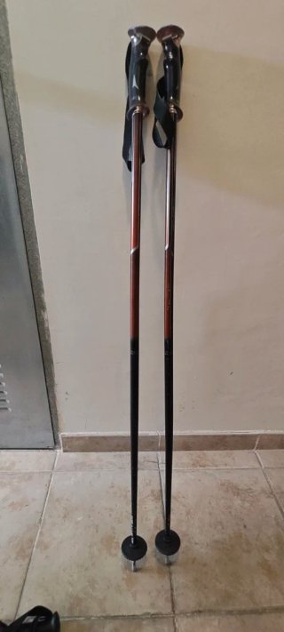 Bastones de esquí