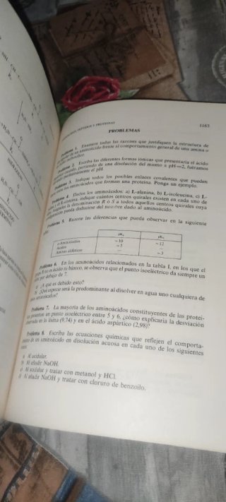 Fundamentos y problemas de química