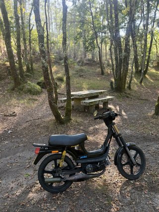 Derbi Variant Star 5 Negra