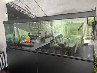 Acuario ICA 750L 200x50x75cm