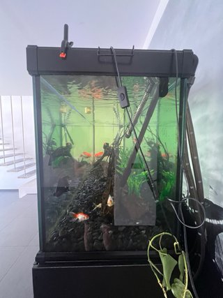 Acuario ICA 750L 200x50x75cm