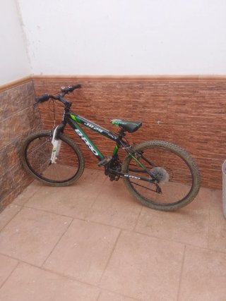 Bicicleta B-PRO JM24