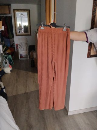 2 Pantalones Plisados