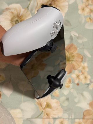 PlayStation Portal (PS Portal)
