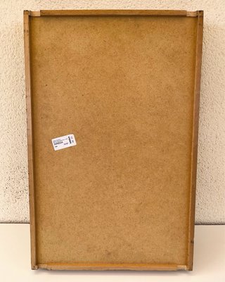 Organizador modelo Inreda IKEA