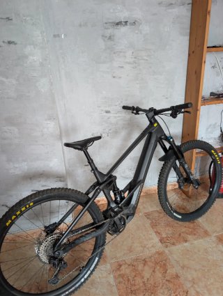 Orbea Wild M10 Carbono Talla L (385km)