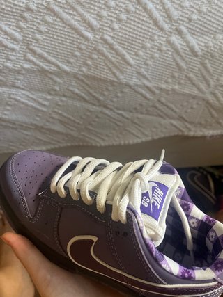 Zapatillas Nike Dunk SB Moradas