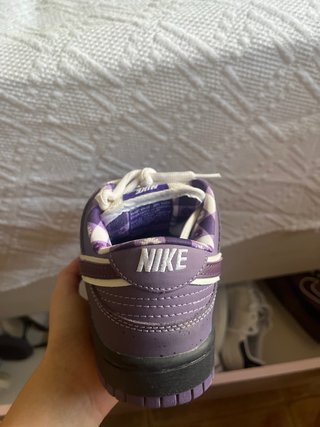Zapatillas Nike Dunk SB Moradas
