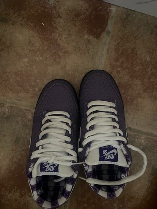 Zapatillas Nike Dunk SB Moradas