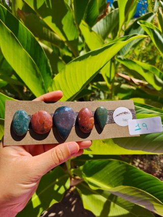 Lote minerales n°19