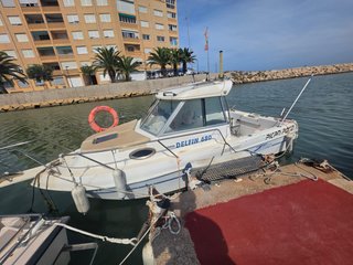 Barco Felco Delfin 680