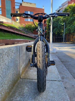 Bicicleta Infantil 14 Ramones