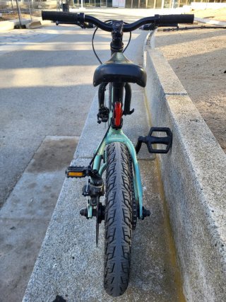 Bicicleta Infantil 14 Ramones