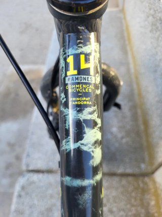 Bicicleta Infantil 14 Ramones