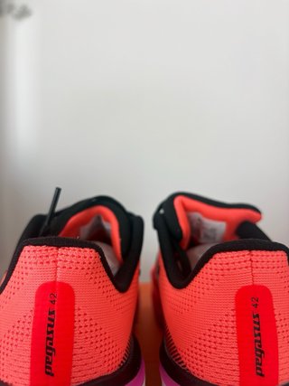 Zapatillas Nike Air Zoom Pegasus 42