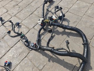 Cableado Motor Ford Focus