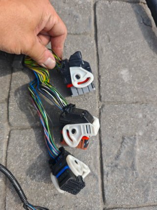 Cableado Motor Ford Focus