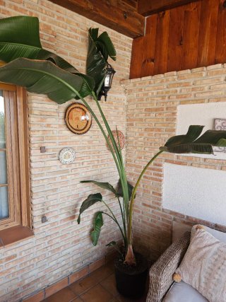 Conjunto Muebles Jardín Ratán Mesa y Sillas