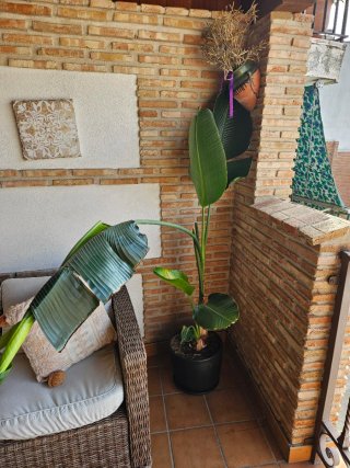 Conjunto Muebles Jardín Ratán Mesa y Sillas