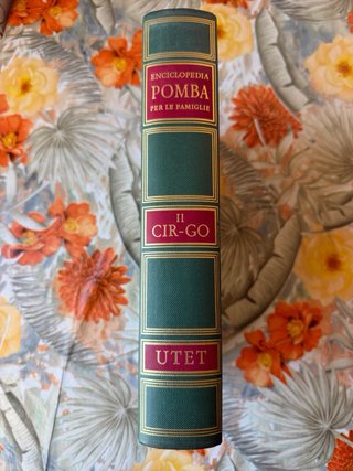 Enciclopedia POMBA per le famiglie secondo volume