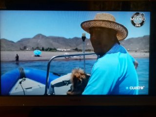 TV Sony Bravia 32"